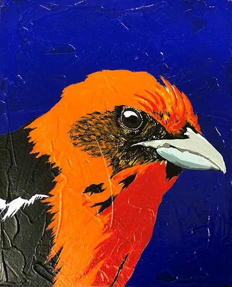 Mark Zimmerman, "Flame Tanager," acrylic