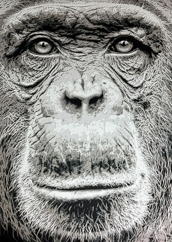 Hand-cut paper artwork titled "Karibu" by Sarah Lake, featuring a detailed, textured portrait of an Eastern Chimpanzee.