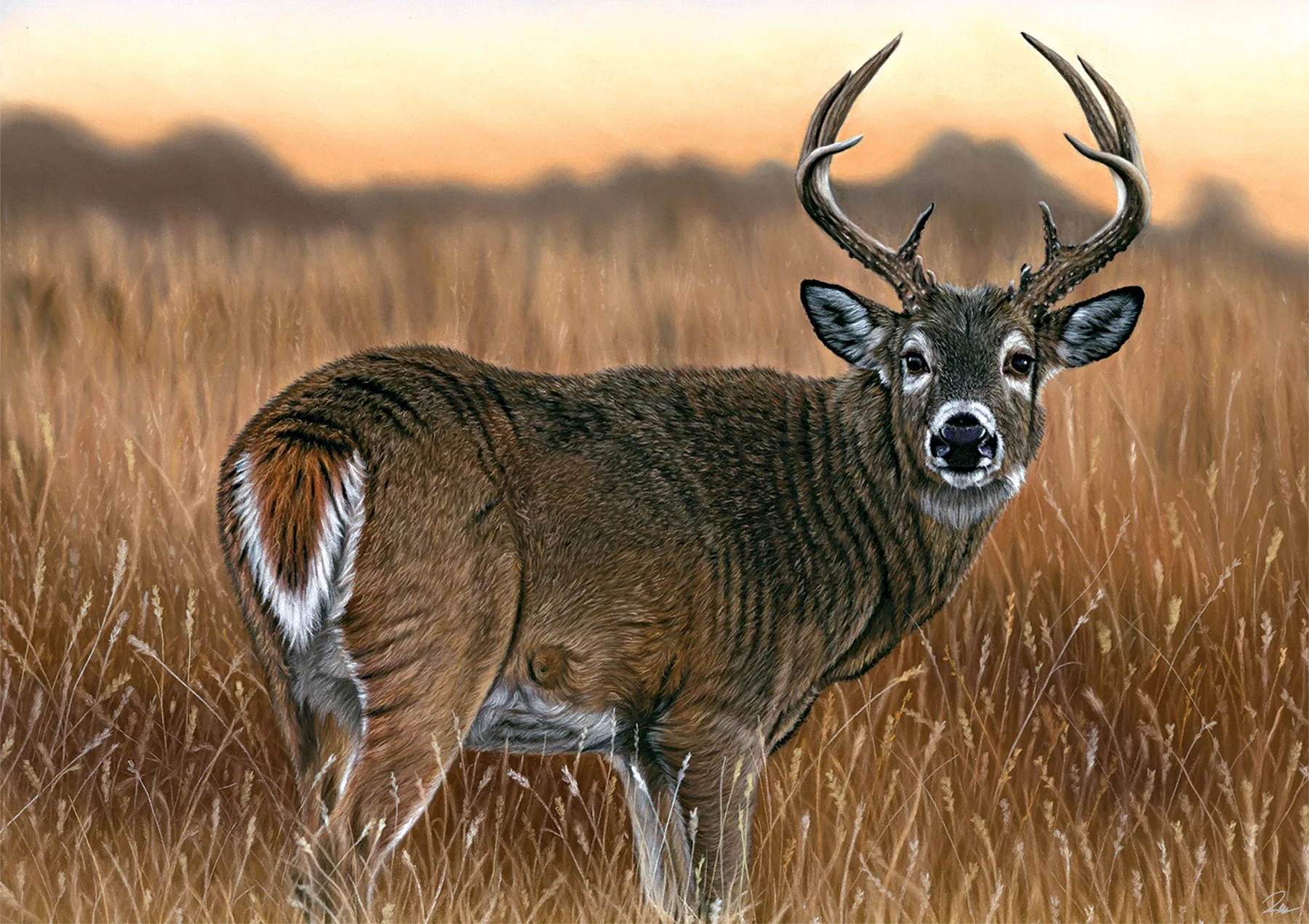 Kristy Ren
The Golden Hour, pastel