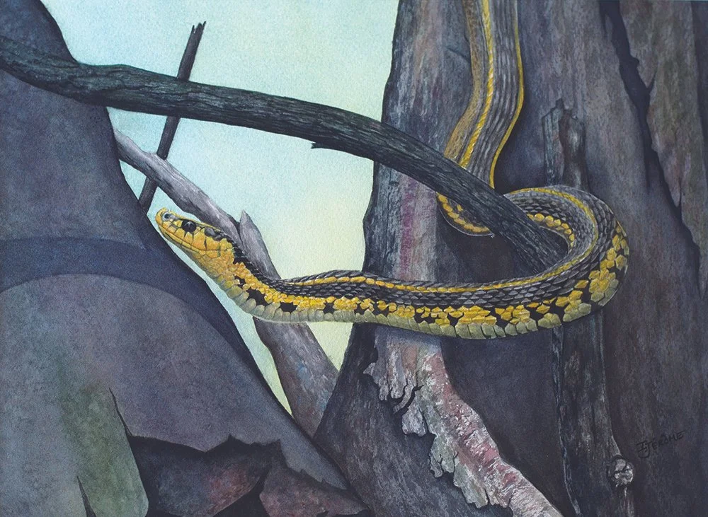 Artistic Recognition: Isabelle Jerome
"Pretty in Yellow," watercolor