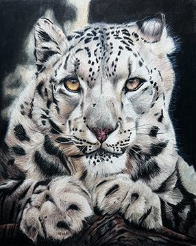 Manon Bentley
Untitled, colored pencil