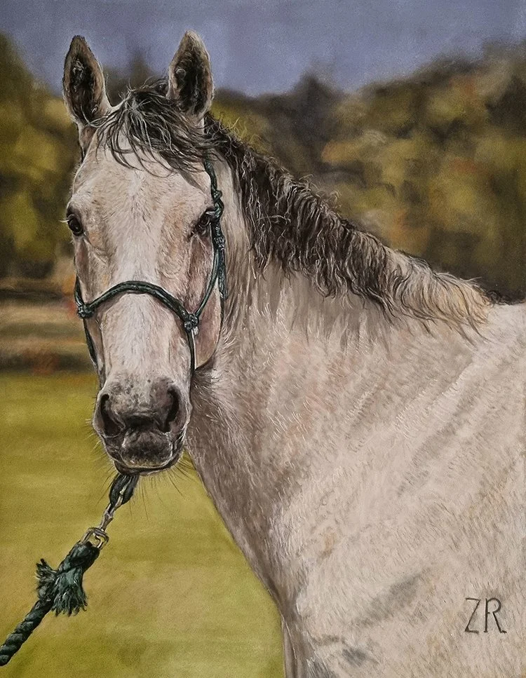 Artistic Recognition: Bernadette Ballantyne
"Galaxy," pastel
