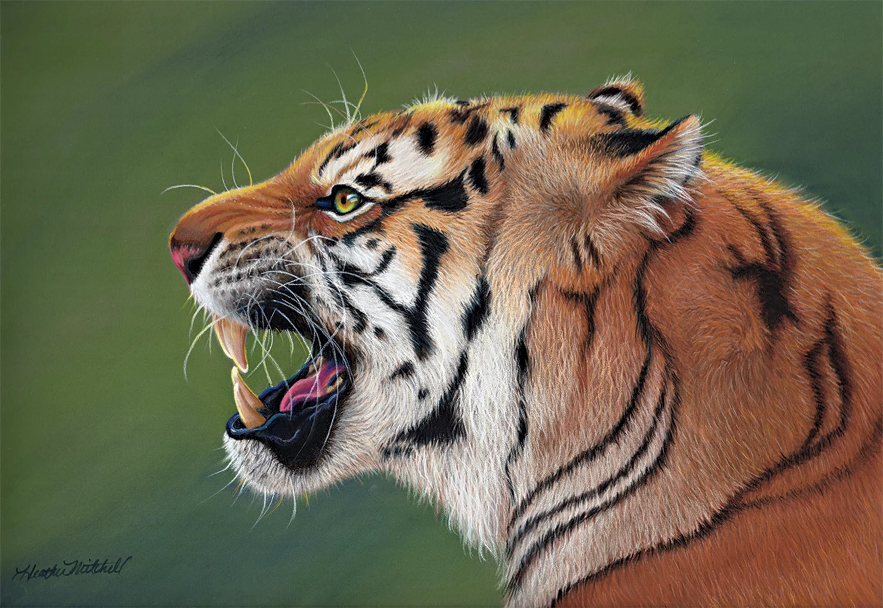 Heather Mitchell
Fierce, pastel