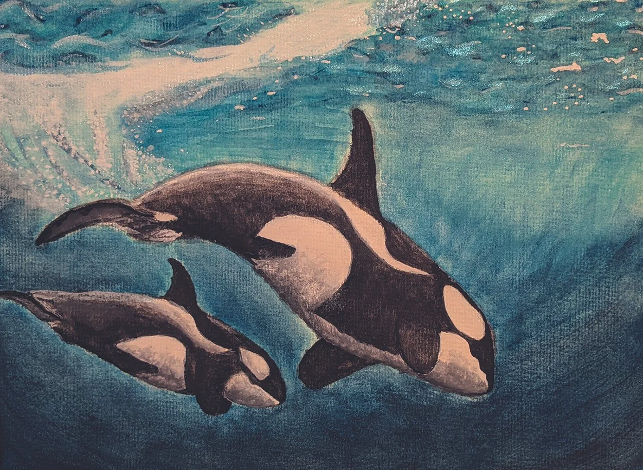 Honorable Mention: Blake Treadway
"Snake River Dams," watercolor