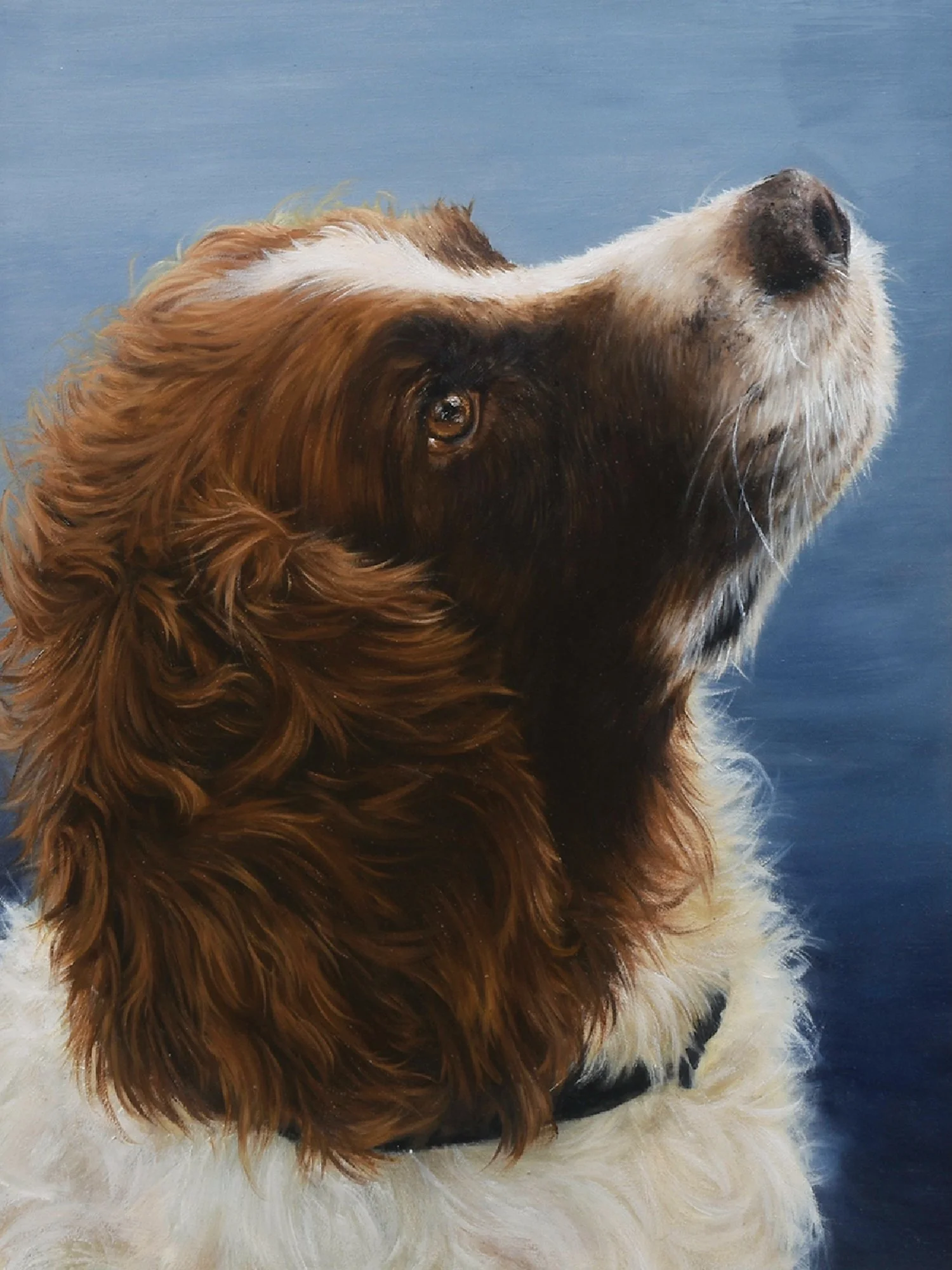 Michele Lutzai
Buddy, oil