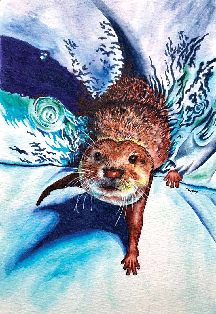 Honorable Mention: S.L. Yang
"Friendly Otter, " watercolor
