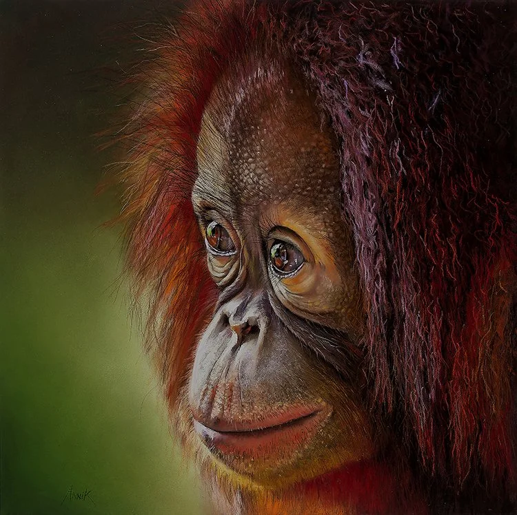 1st Place: Annik Janssens
"What About Me?" pastel
