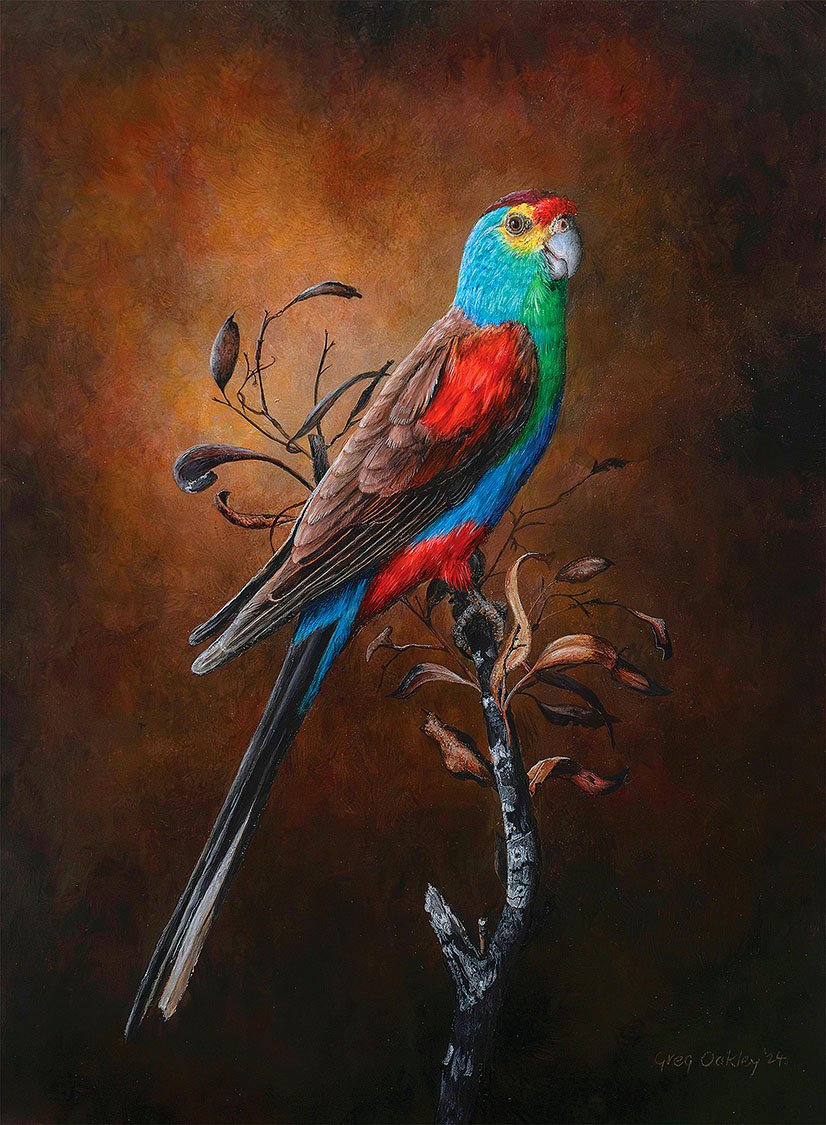 Acrylic painting by Greg Oakley titled 'Paradise Parrot' depicting the extinct Australian parrot with turquoise, scarlet, and brown feathers perched on a branch.