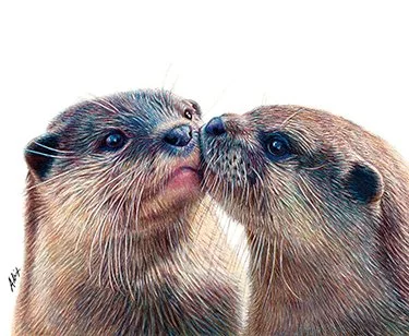Alix Fuerst
Otters, colored pencil