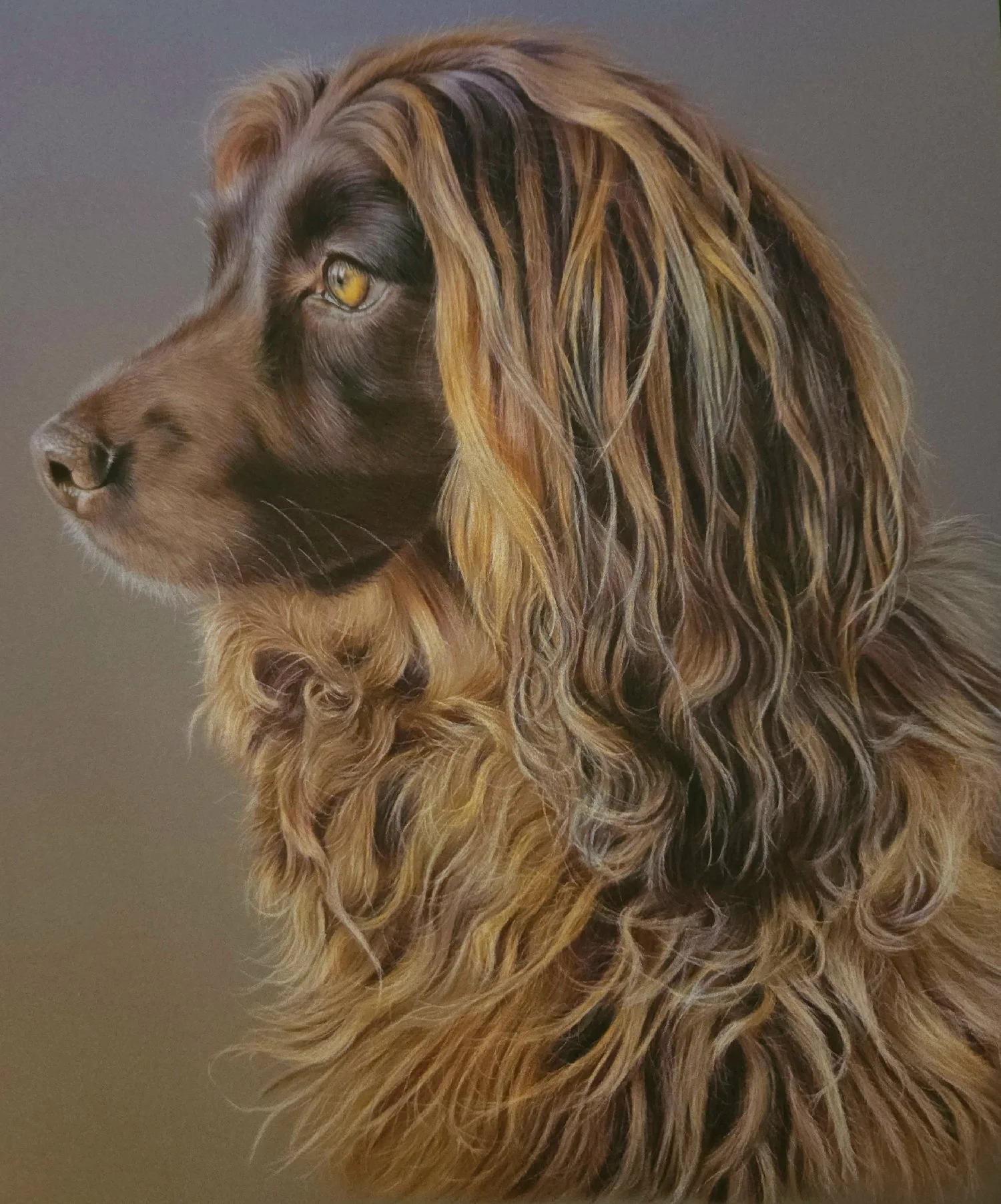 Tracy Warner
Truffle, colored pencil
