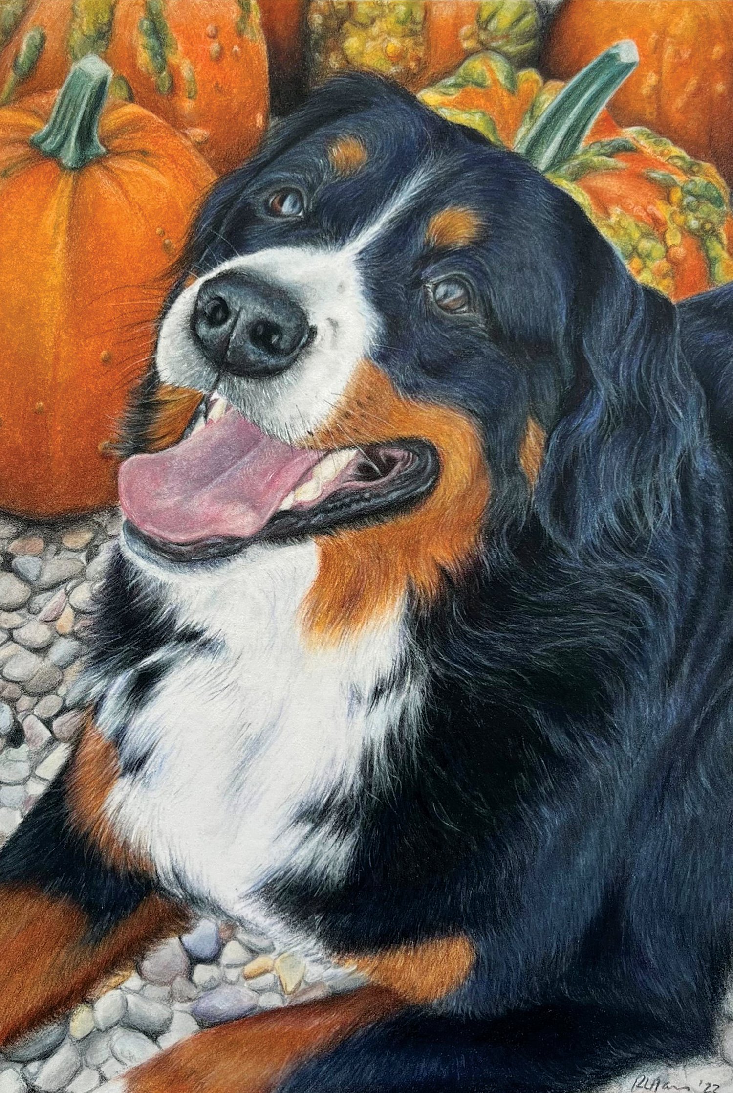 Rachel Harris
Heart Dog, colored pencil