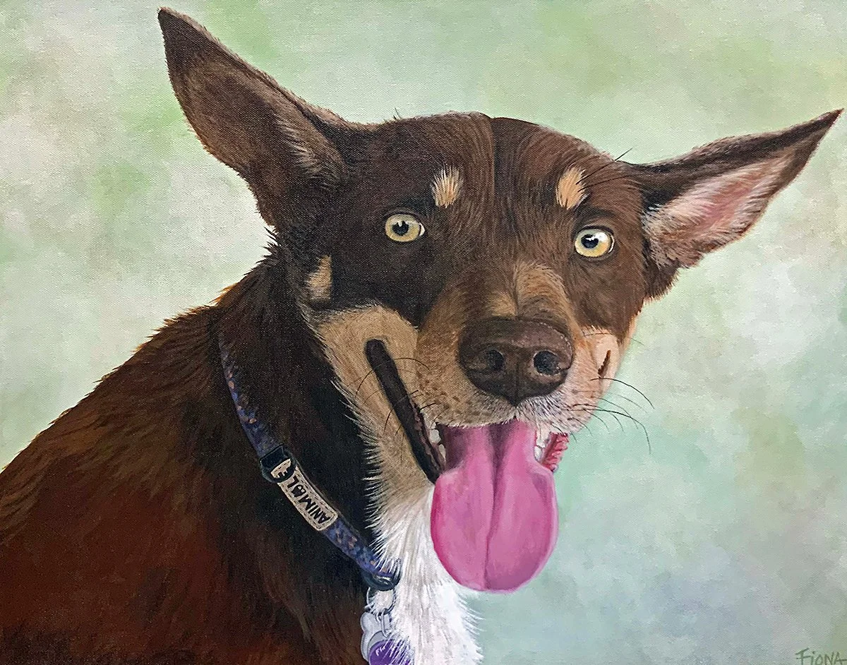 Fiona Groom
Didge, acrylic