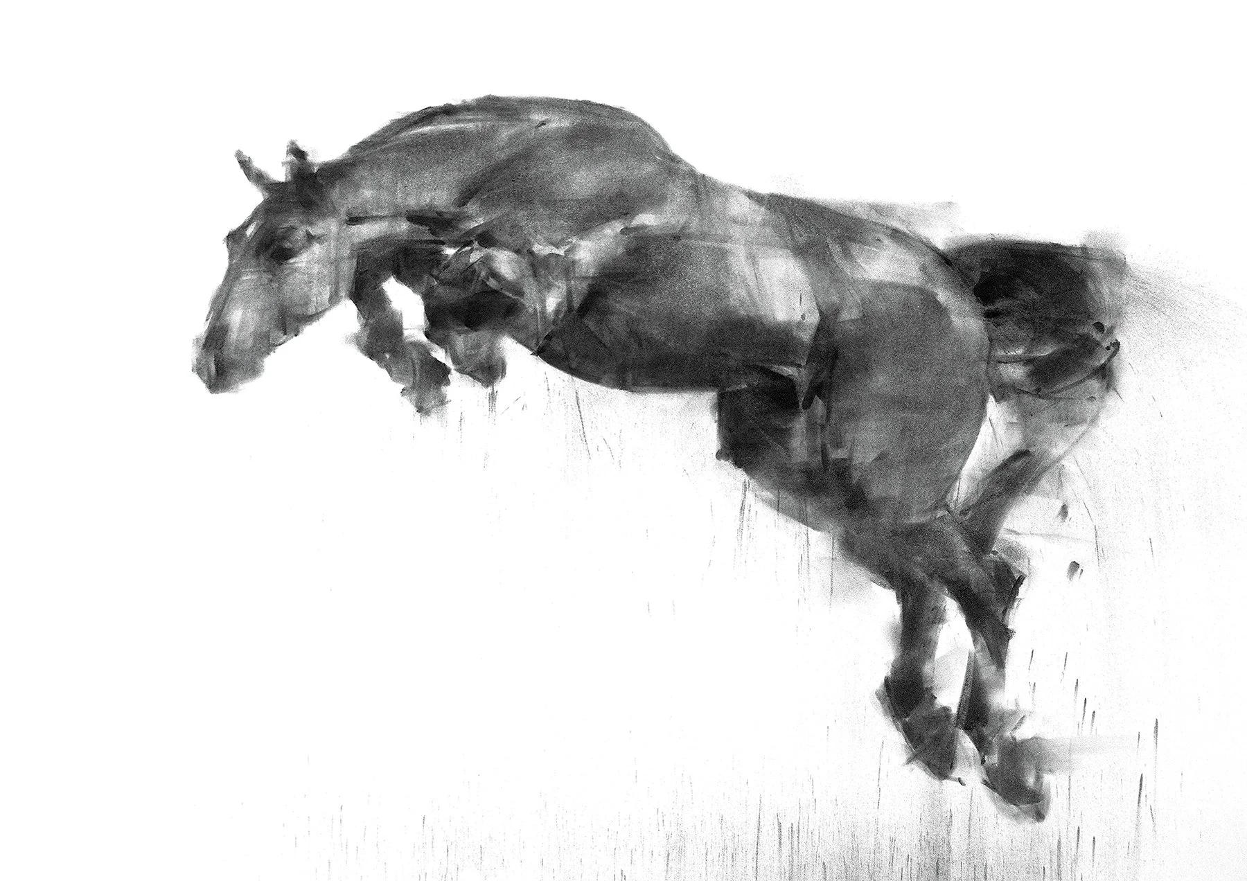 A charcoal drawing by artist Tianyin Wang of a jumping horse