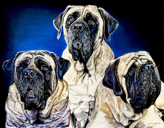 Shannon Gordy, "Mastiffs," pastel