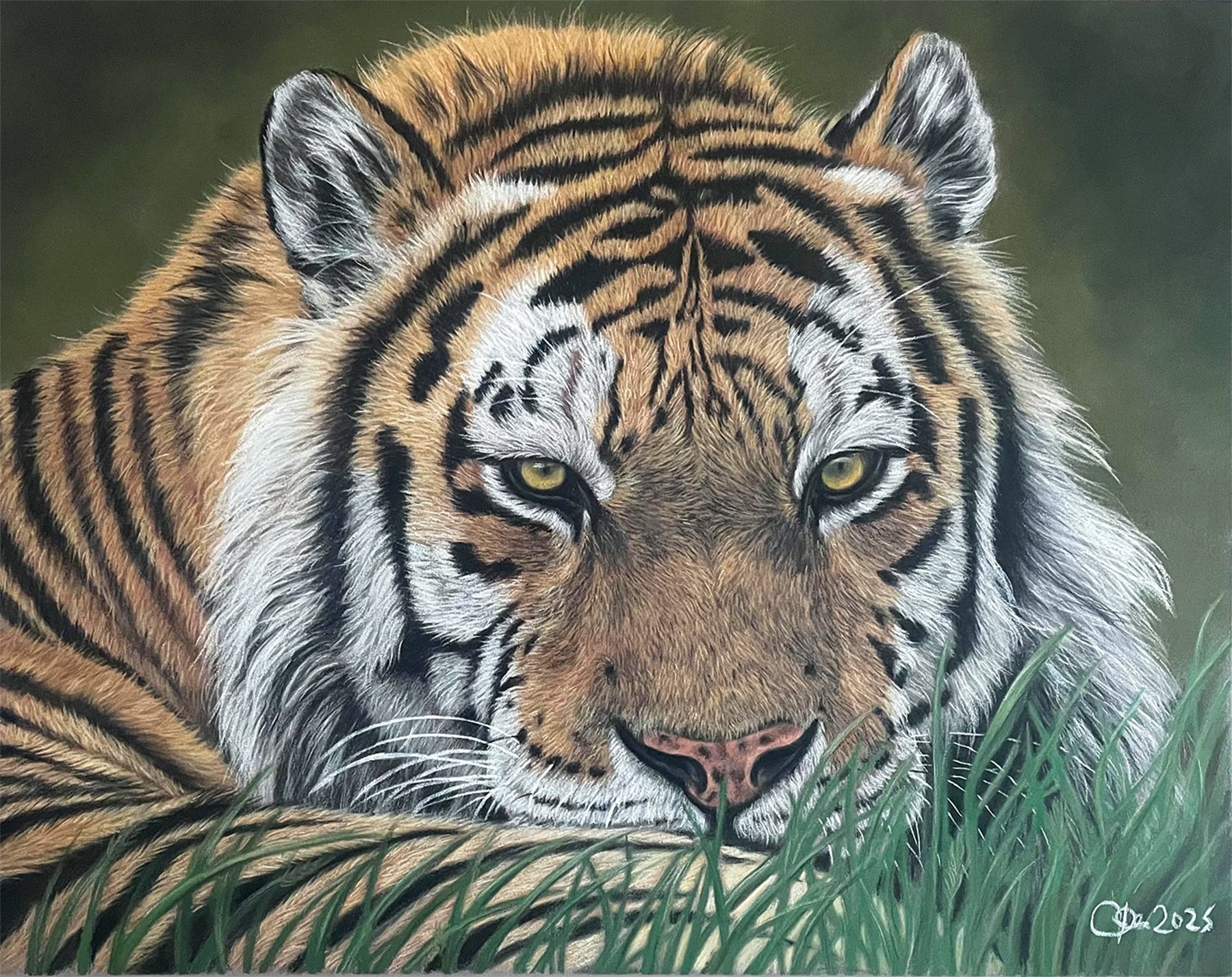 Jo Groves
Eye of the Tiger, pastel
