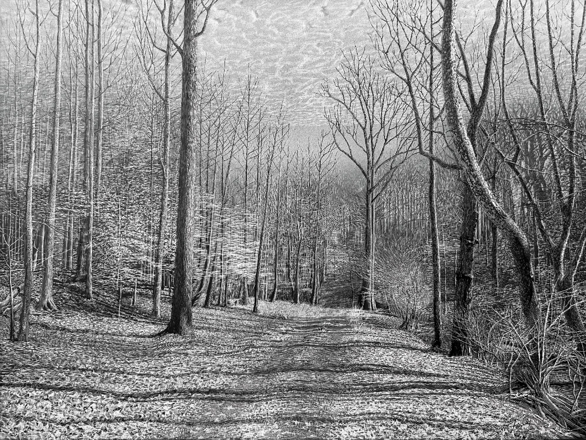 Lee Farley
The Road Less Traveled, scratchboard