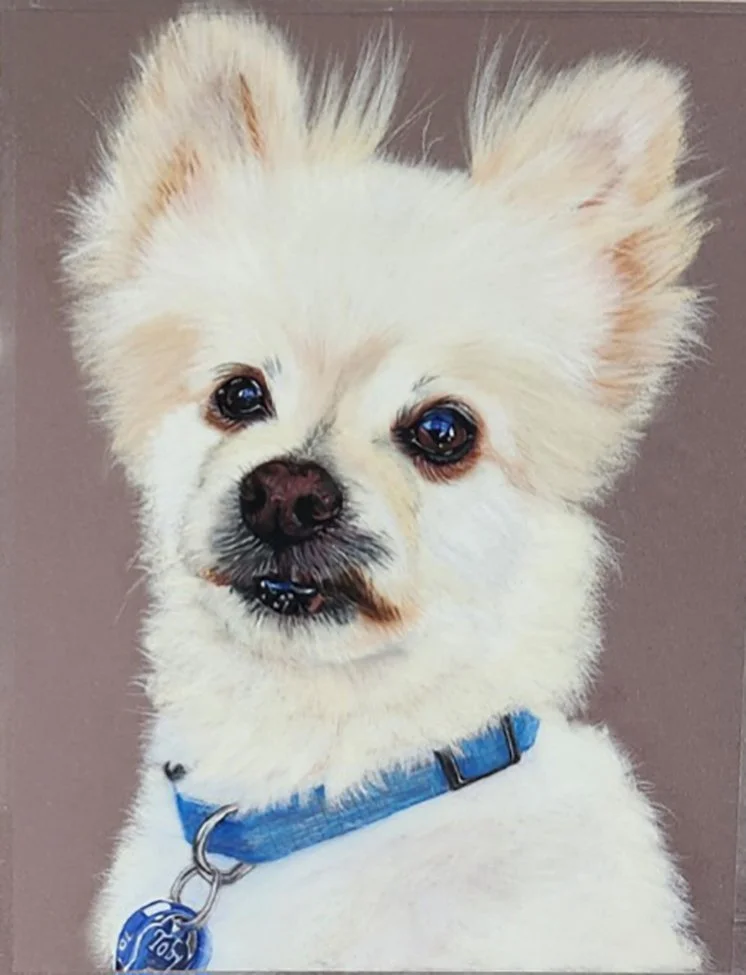 Marianne Brady, "Toby," pastel