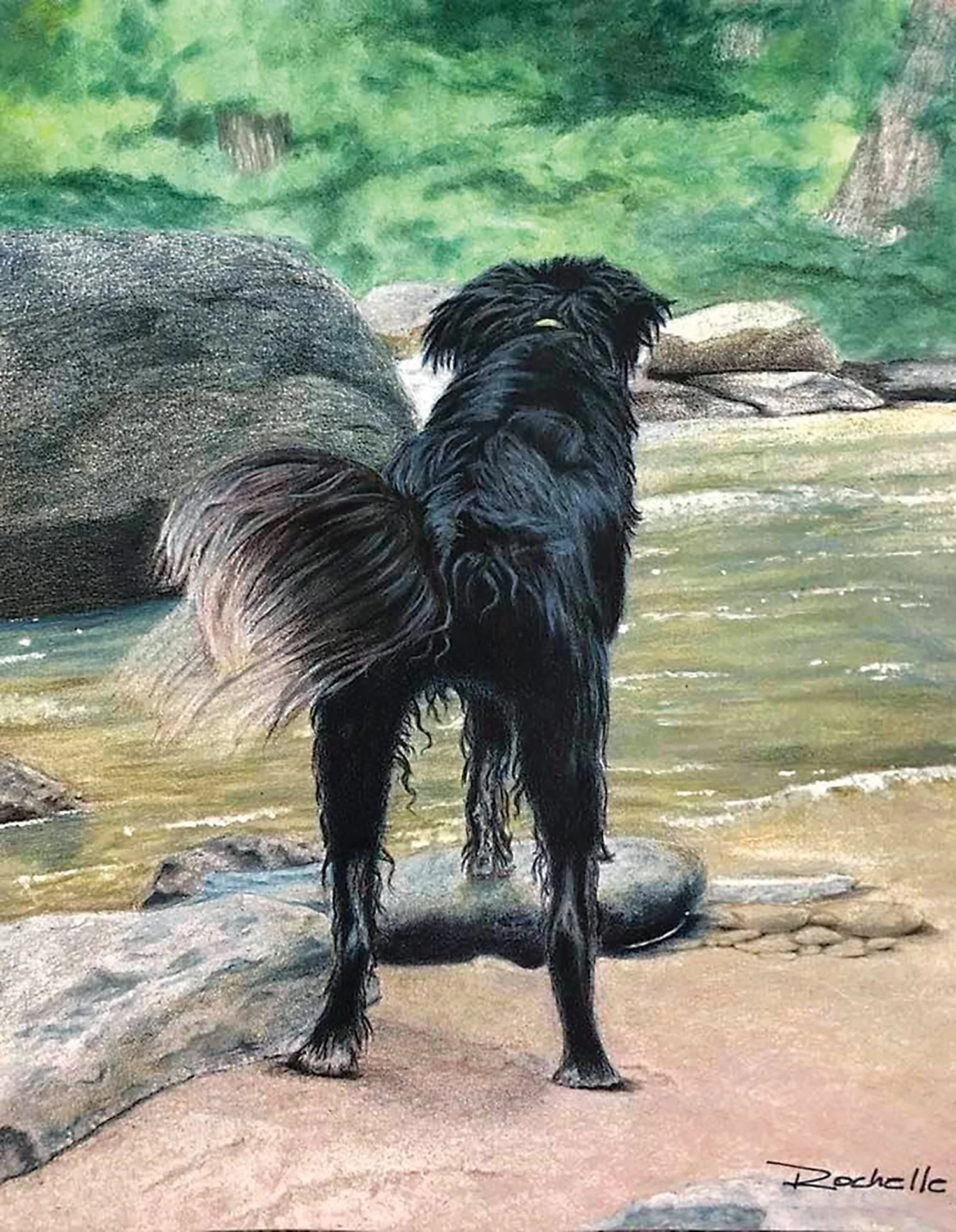 Rochelle Oberholser
Fetch, colored pencil