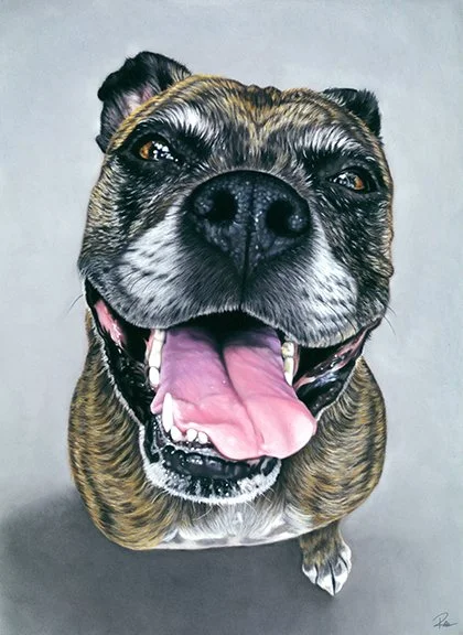 Kristy Ren, "Griffy," pastel