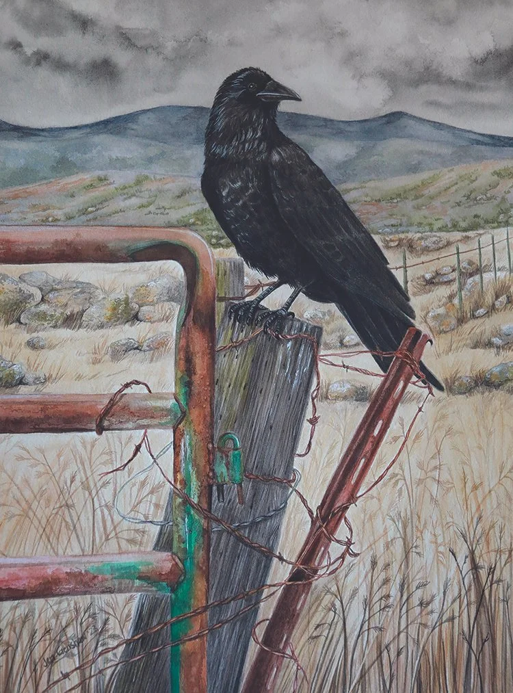 Honorable Mention: Jen Crenshaw
"Santa Ysabel Crow," gouache