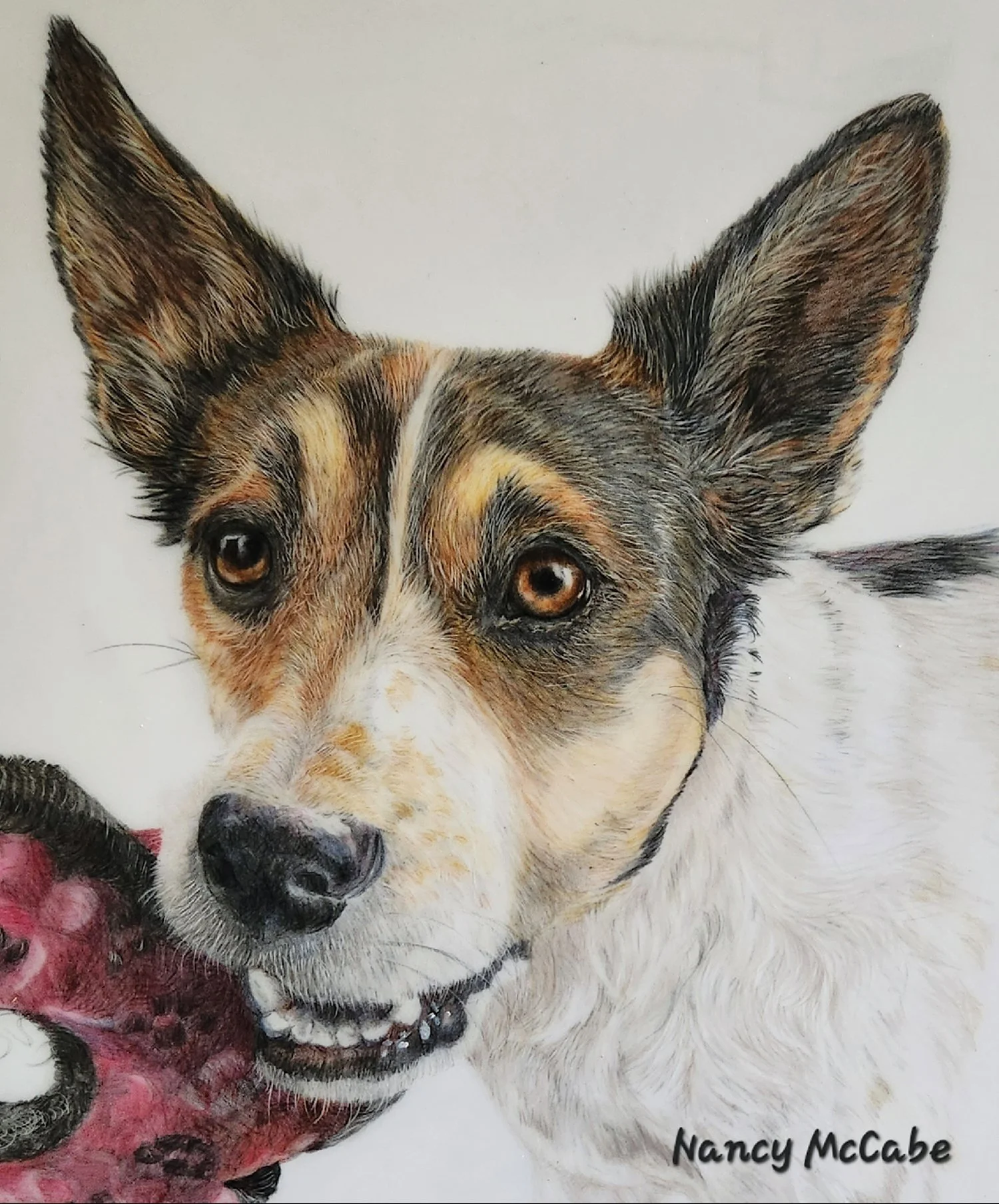 Nancy McCabe
Mosby, colored pencil