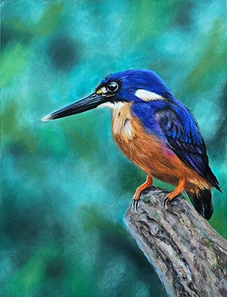 Deb Farrimond, "Azure Kingfisher," pastel
