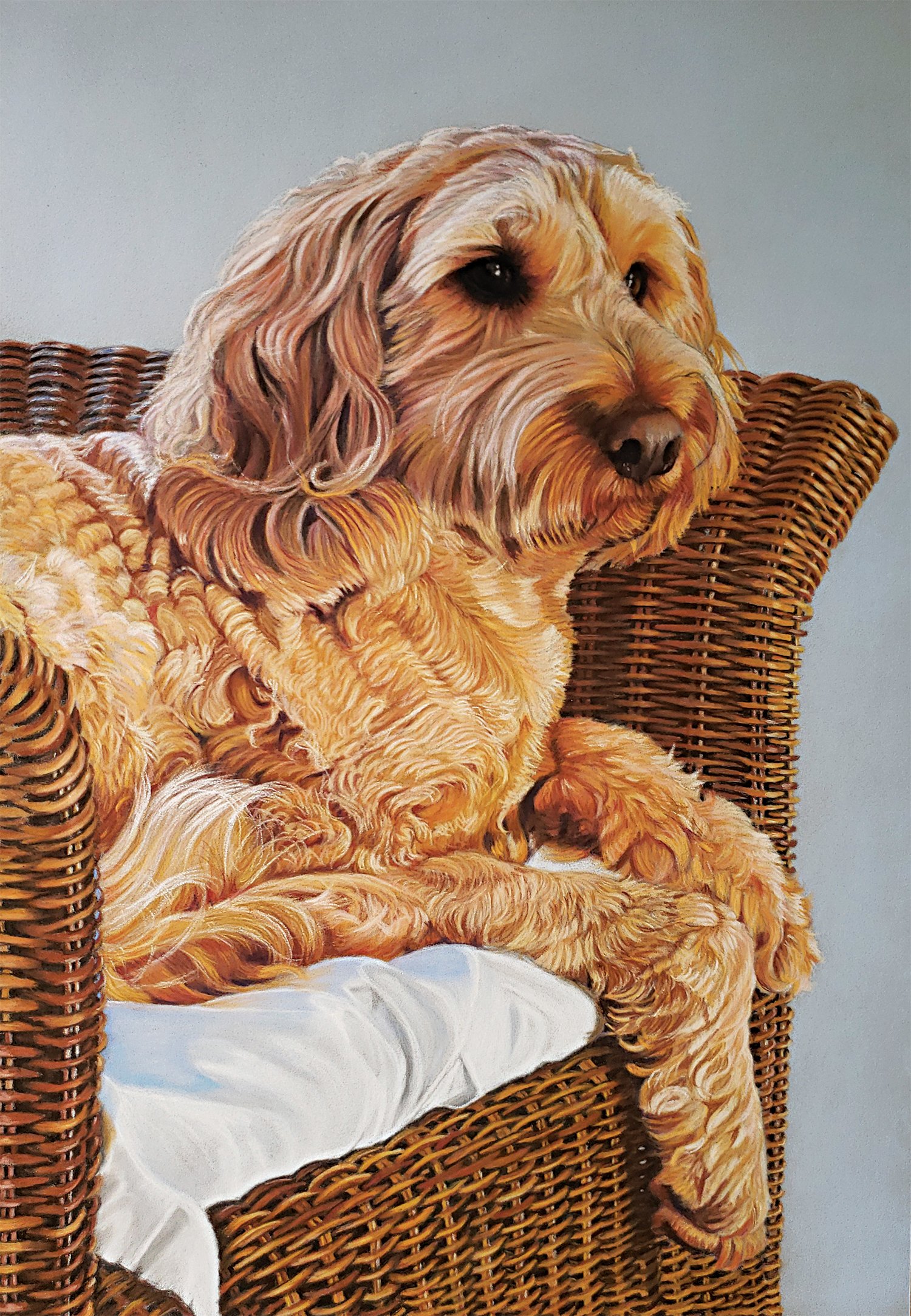 Sarah Perry
Barnaby, pastel