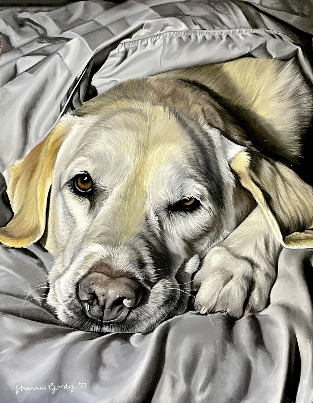 2023 Pastels Art Competition Results — Art and Color 365