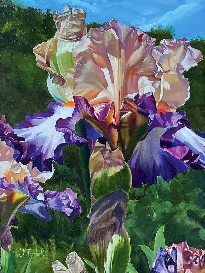 Oil painting by Cathryne Trachok titled 'East of Eden' featuring a lush, detailed view of purple and white iris flowers with green foliage.
