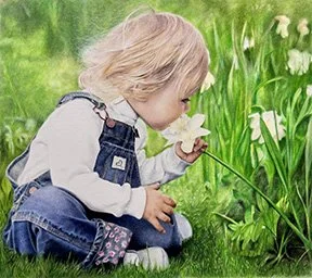 Toddler in denim overalls smelling a white flower in a grassy field.