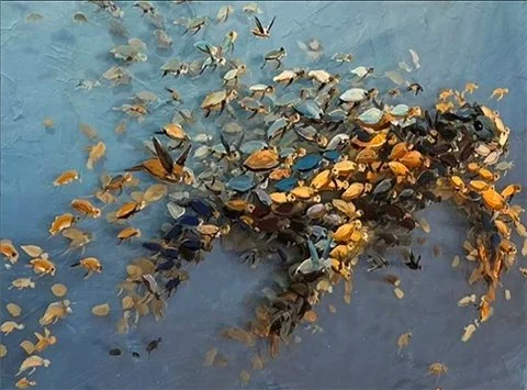 Ken Wallin, "Swimming with Sea Turtles," acrylic
