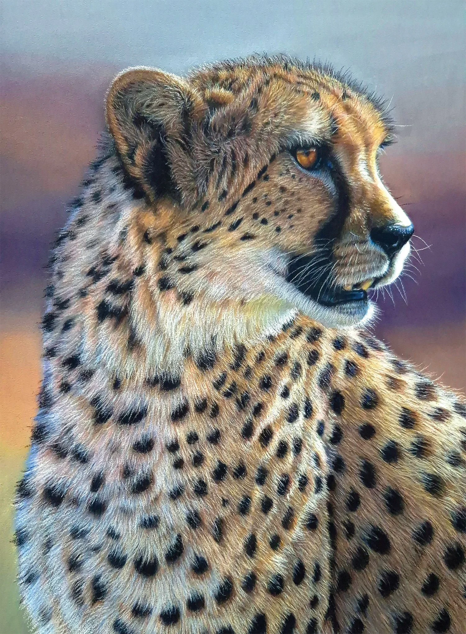 Silvia Frei
Golden Hour, pastel