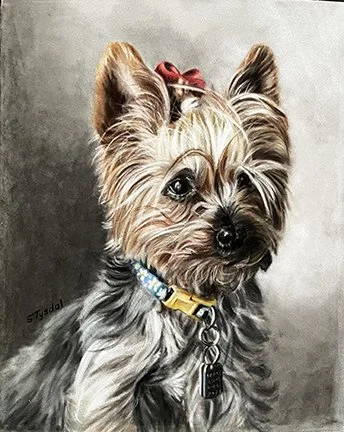 Sheila Tysdal, "Max," colored pencil