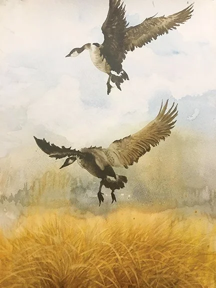Han In Wong
"Freedom, watercolor