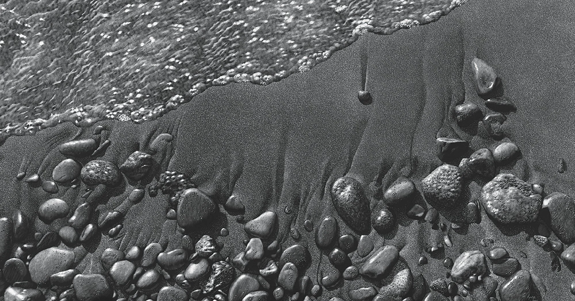 Scott Krohn 
Fighting For Attention, scratchboard