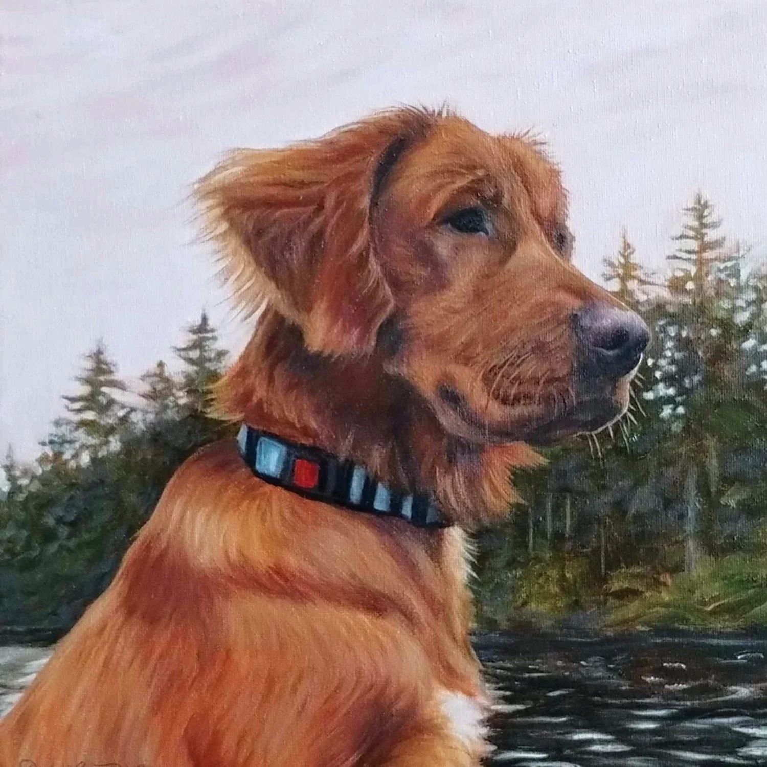 Debb Bates
Phoebe, oil