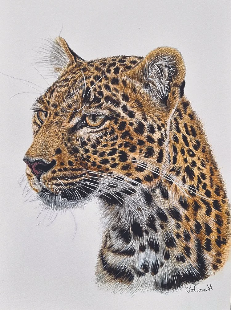Artistic Recognition: Tatiana Maliseva
"Leopard," watercolor