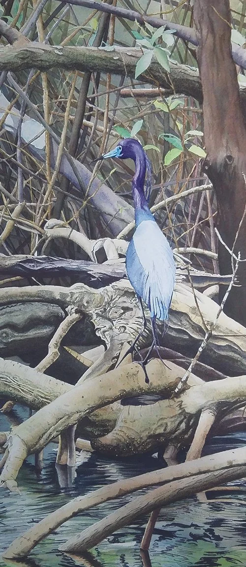 Artistic Recognition: Karlene Francois
"Blue Heron, Caroni Swamp," watercolor