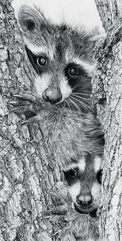 John Hanley, "Double Trouble," graphite