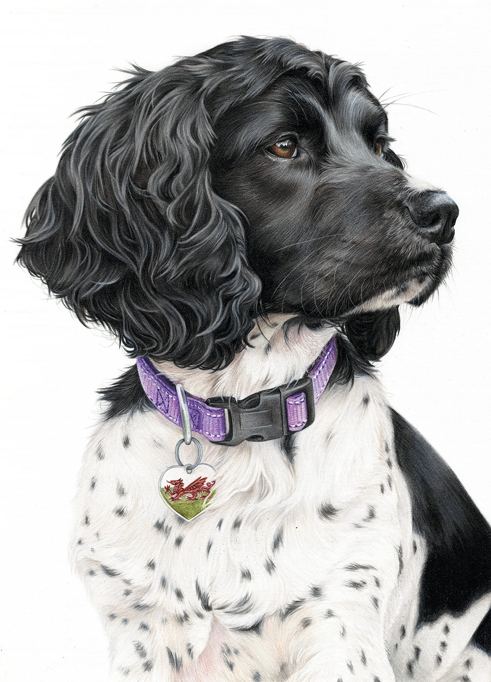 Elizabeth Raine  
Meg, colored pencil