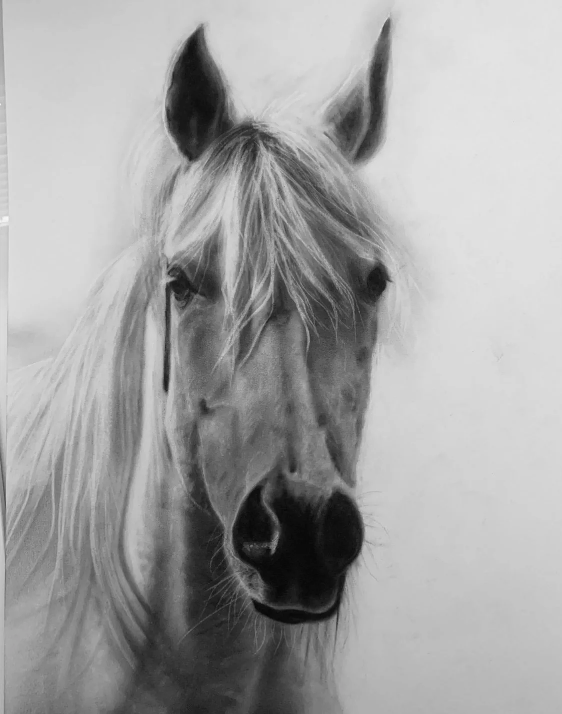 Tracey Prioste, "Spirit," charcoal