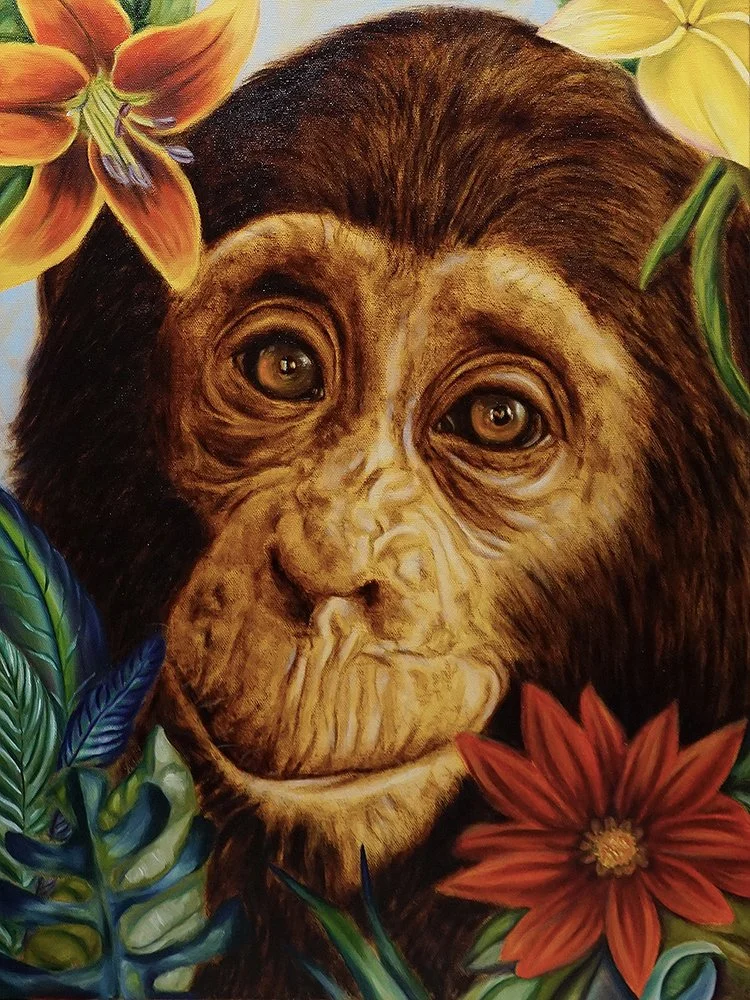 Artistic Recognition: Shane Velez
"Chimpanzee," oil