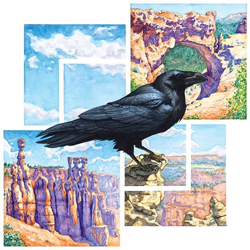 Beth Trott
"Raven's Eye View: Bryce Canyon," watercolor