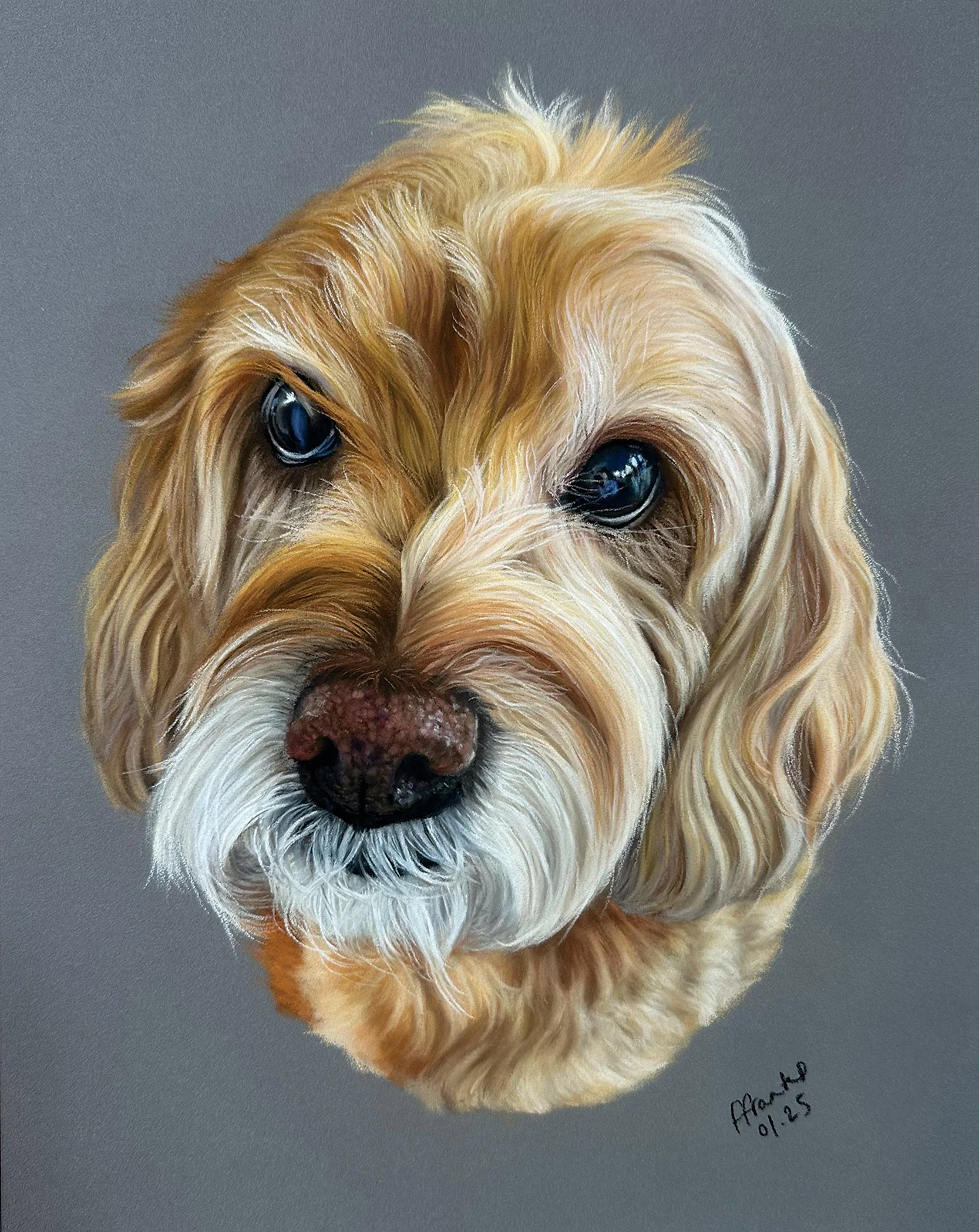 Felicity Franks
Abby the Cockapoo, pastel