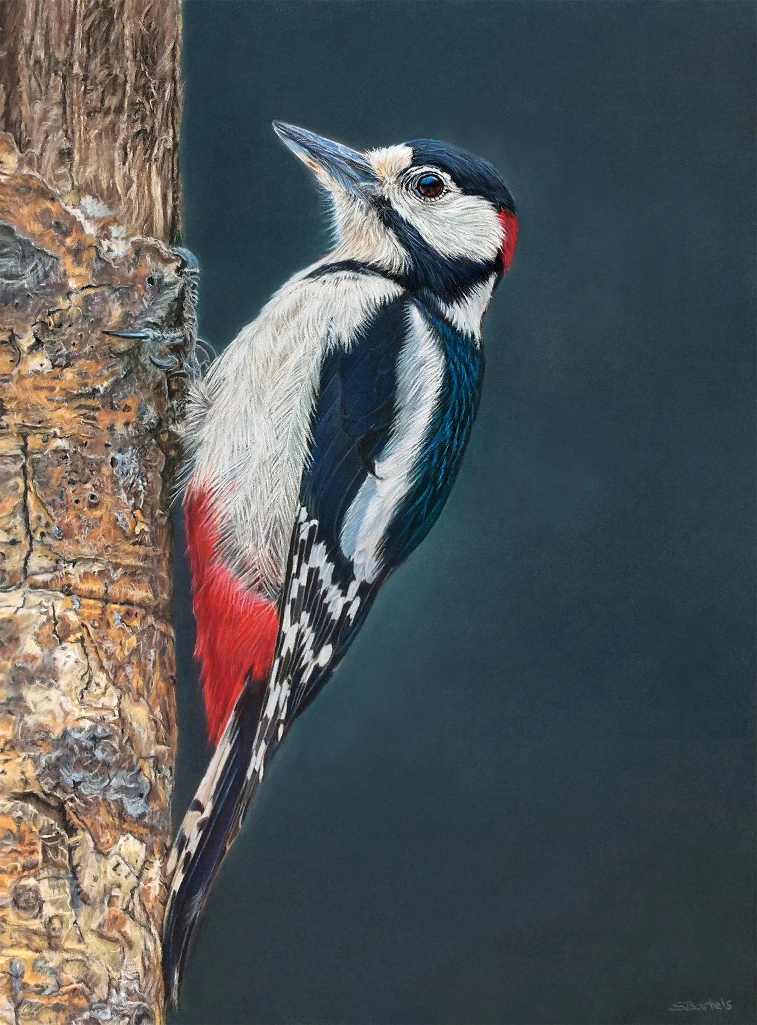 Sandra Bartels
Cold Skies, pastel