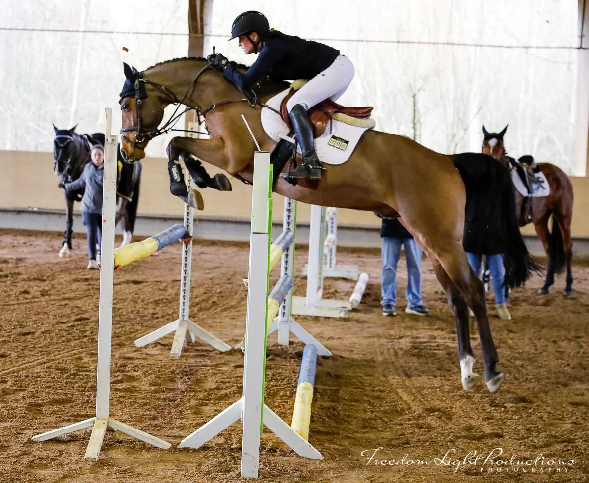 Horse Competition in Lahr Germany