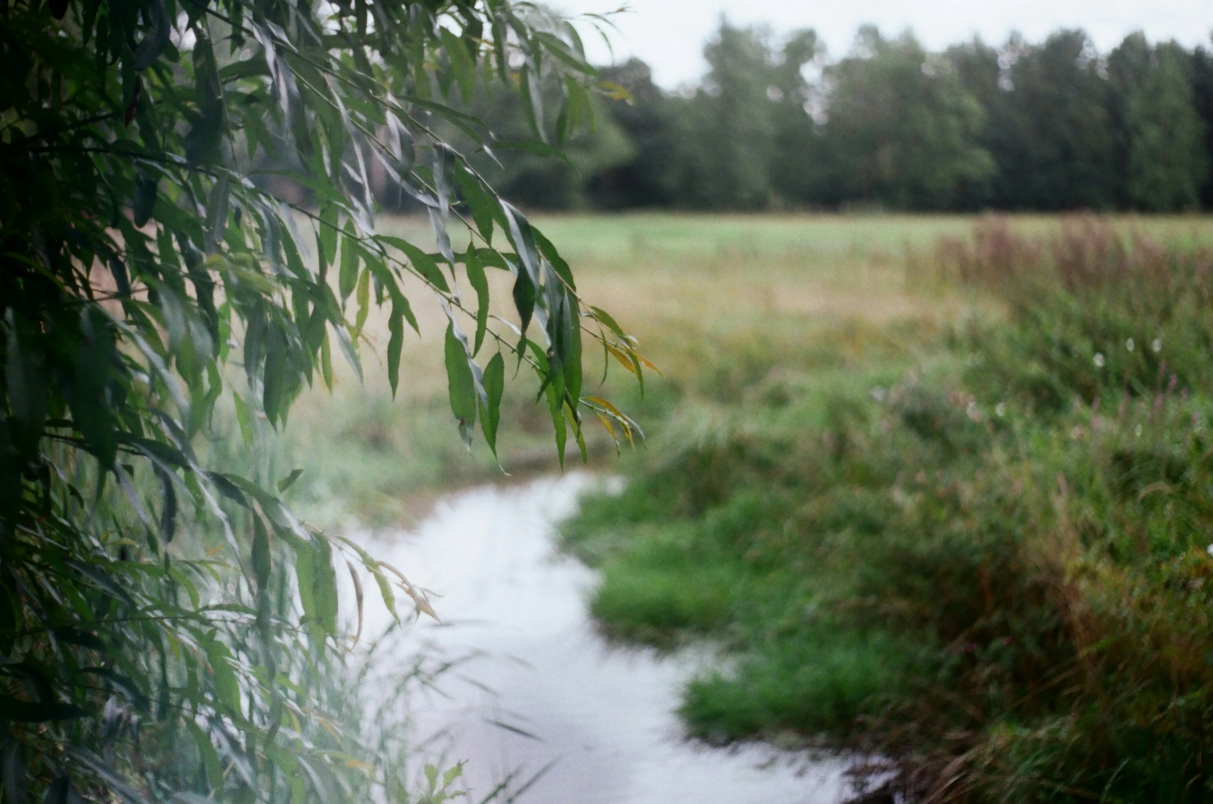 Listen to the Whispers: Preventing Burnout with Naturopathy and ERT