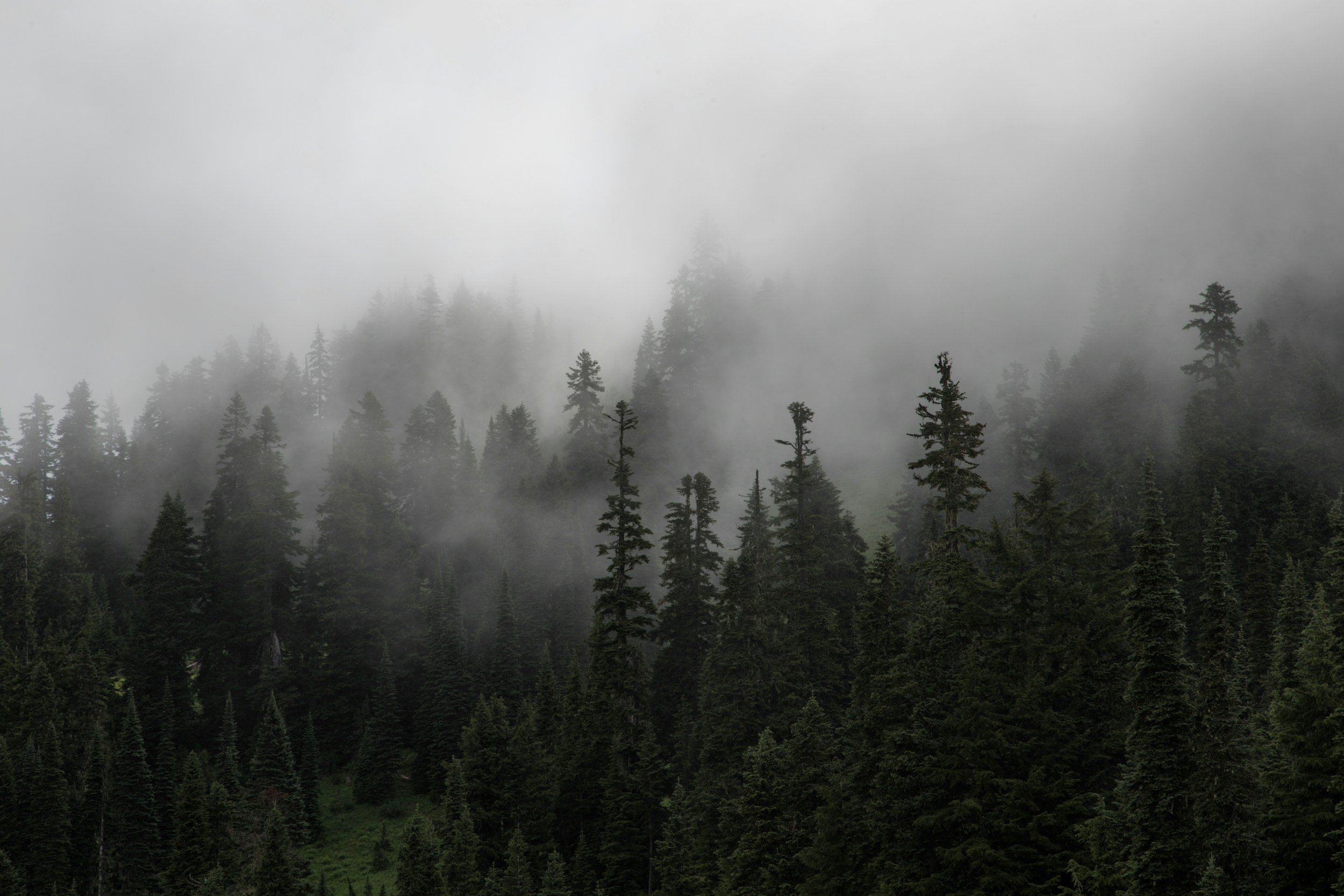 Type 3 Diabetes &amp; Perimenopause: Is Insulin Resistance Causing Your Brain Fog?
