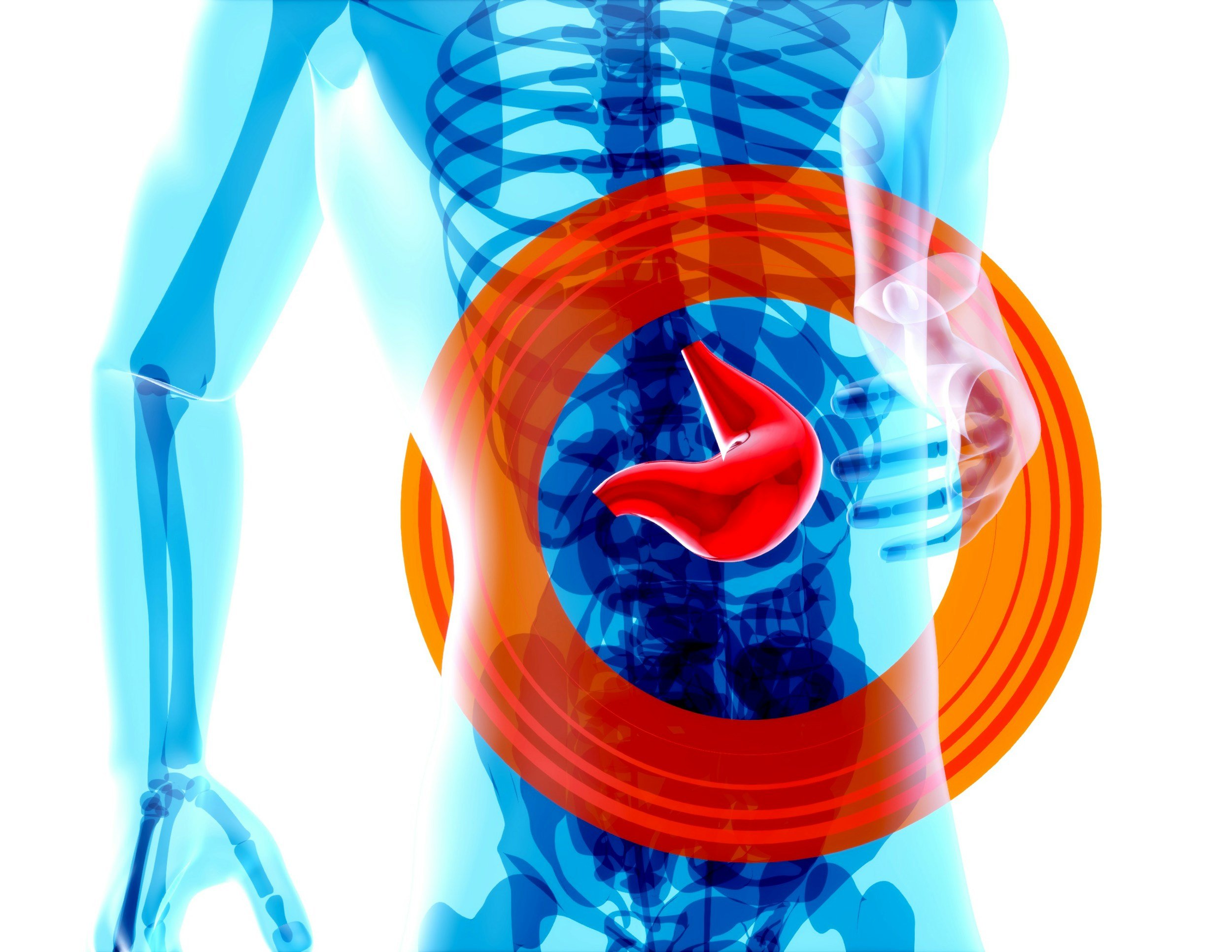 The Liver-Brain Connection: Why Sluggish Detox Pathways Leave Waste Circulating in Your Head