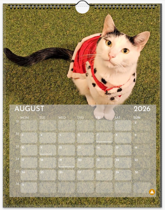 Screenshot 2025-12-07 165857.png